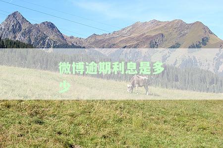 微博借钱逾期利息很高？如何解决高额利息问题并进行投诉？