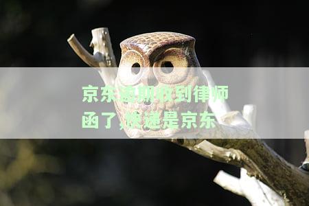 京东逾期几个月了，收到短信要寄律师函到我户所在地：是真的吗？