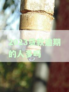 2020贷款逾期人数大增，2020年贷款逾期人数激增，信贷市场面临严峻挑战