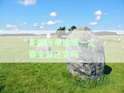 花呗账单逾期一定要全部还完吗-花呗账单逾期会怎样