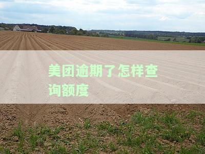 美团逾期后如何查询额度？还款后额度会恢复吗？