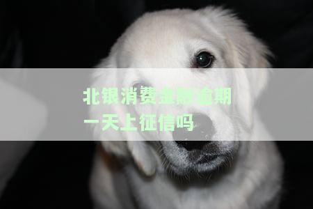 北银消费金融逾期几天会联系家人朋友？逾期一天、两年或八个月的影响及后果
