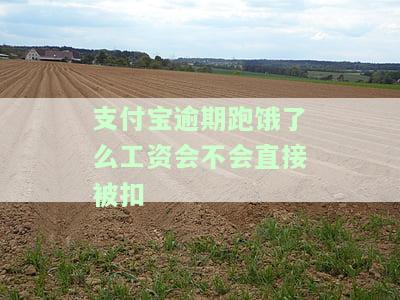 支付宝逾期跑饿了么工资会不会直接被扣-支付宝逾期饿了吗外卖骑手