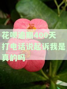 花呗逾期150天被告知将被起诉，如何应对？