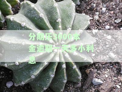 分期乐欠3000块逾期153天怎么算利息，计算分期乐逾期153天的3000元利息的方法