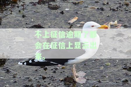 不上征信会查征信吗，不查征信就能贷款？真相是……