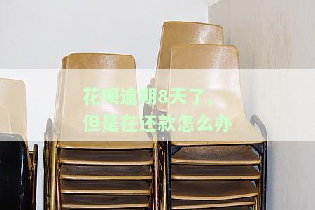 花呗逾期8天了,但是在还款怎么办呢，如何处理花呗逾期8天的情况？还款步骤详解