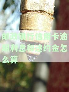 邮政银行逾期罚息能减免吗，咨询邮政银行：逾期罚息能否减免？