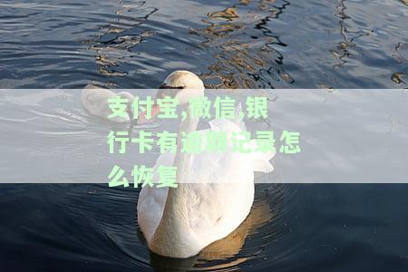 支付宝、微信、银行卡逾期记录如何恢复正常？逾期会影响使用吗？是否会进入黑名单？逾期后微信钱包会受影响吗？能否继续使用支付宝和微信？