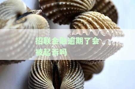 招联金融逾期会被起诉吗？真还不上怎么办？后果严重吗？2020最新解析