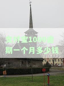 支付宝1000逾期一个月多少钱-支付宝1000元逾期一年要还多少钱