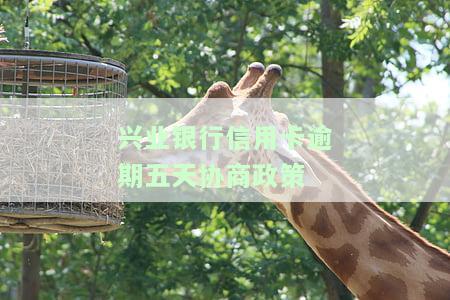 兴业银行逾期五天会否影响征信？