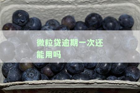 微粒贷逾期一次还能用吗