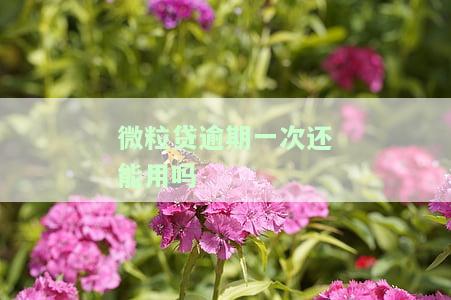 微粒贷逾期一次还清后能否再次借款？安全吗？