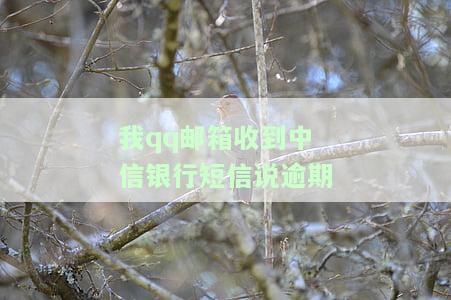 我QQ邮箱收到中信银行短信说逾期，是真实情况吗？