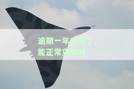 逾期一年还了还能用吗？影响、恢复时间及能否再借款全解析