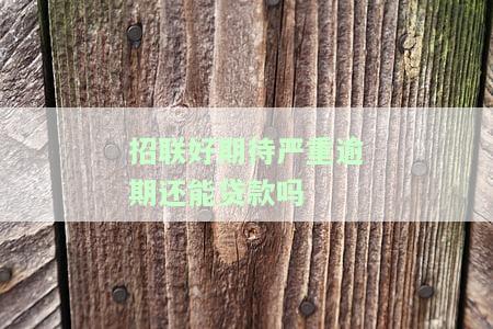 招联好期待严重逾期还能贷款吗安全吗，【警告】招联好期待：严重逾期后是否还能安全贷款？