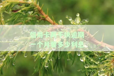 信用卡2000逾期一个月利息计算及影响：逾期天数、是否影响贷款、如何消除记录