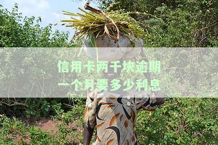 信用卡2000元逾期会影响贷款吗？解决方法与后果解析