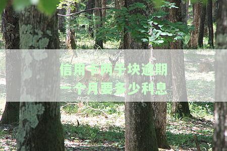 2000块的信用卡逾期26个月怎么消，信用卡逾期26个月未还，欠款2000元如何解决？