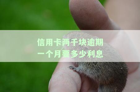 信用卡2000逾期一年要还多少，逾期一年的信用卡欠款2000元，需要偿还多少钱？