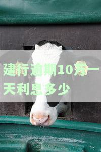 建行逾期10万一天利息多少