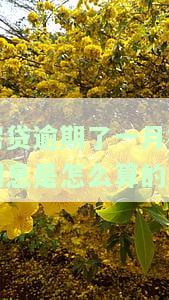 房贷逾期一个月扣利息计算方法及后果解析