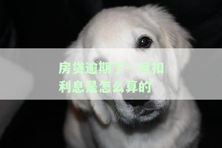 房贷逾期一个月利息怎么算，房贷逾期一个月：如何计算利息？
