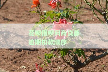 借呗提示网商贷逾期，结清后再申请：需要全部还完吗？