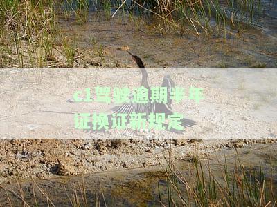 C1驾驶证过期半年如何补办？