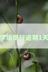 华瑞银行晚还一天的影响：是否算逾期，处理方式及还款宽限期