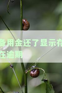 备用金还了显示存在逾期