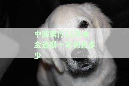 中国银行11万本金逾期一年利息多少