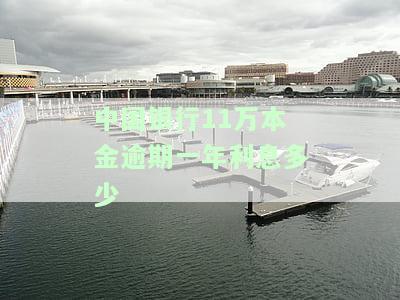 中国银行11万本金逾期一年利息多少