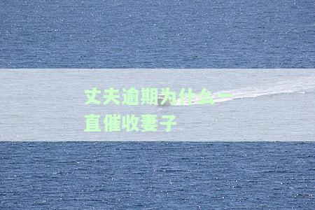 丈夫逾期为什么一直催收妻子