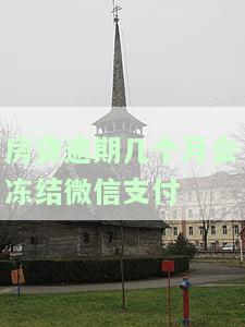 房贷逾期微信的钱被冻结了怎么办？房子多久会被拍卖？如何解冻账户？逾期会冻结微信吗？强制执行会抓人吗？