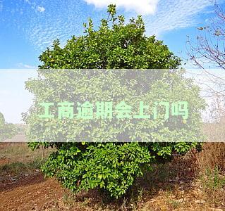 工商逾期会上门吗怎么办，工商逾期：上门催收还是自行解决？该如何应对？