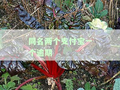 同名两个支付宝，一个逾期如何处理？会影响另一个吗？