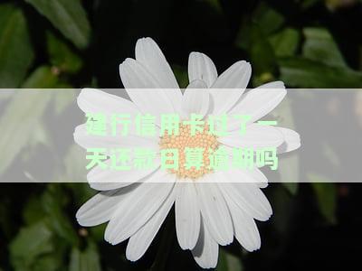 建行信用卡过了一天还款日算逾期吗会怎么样，关于建行信用卡逾期的疑问：过了一天还款日会产生什么影响？
