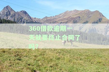 360借款逾期一天就要止合同了吗怎么办，360借款逾期一天是否会导致合同止？解决方案解析