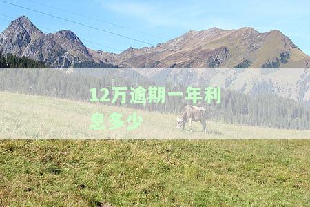 12万逾期一年利息多少还有罚息，逾期一年，12万元的利息和罚息要支付多少？