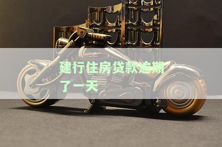 建行住房贷款逾期一天的影响及处理方式