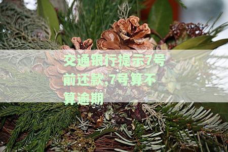 交通银行晚7天还款上征信吗，交通银行信用卡晚7天还款是否会影响个人信用记录？