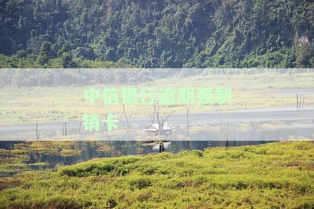 中信银行逾期几天就把卡停了还最低还款，中信银行信用卡逾期后：最低还款能否避免卡片被停用？