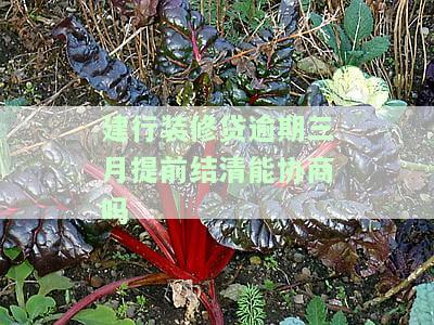 建行装修贷逾期三月提前结清能协商吗，咨询：建行装修贷逾期三个月，能否协商提前结清？