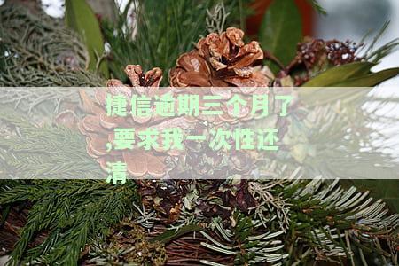 捷信贷款逾期三个月需一次性还清？解决方案在此！
