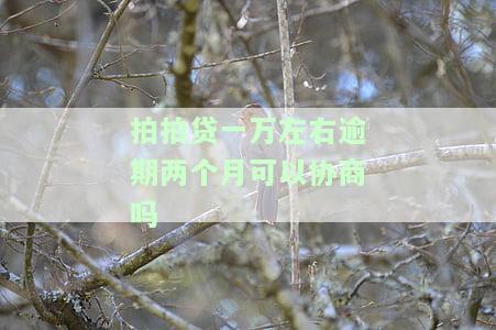 拍拍贷一万右逾期两个月可以协商吗-拍拍贷一万右逾期两个月可以协商吗