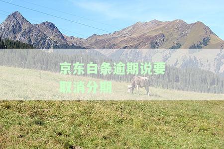 逾期说要取消分期是什么意思？逾期10天需全部还清