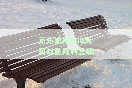 京东逾期800天可以免除利息吗？是真的吗？逾期一百多天能否慢慢还？