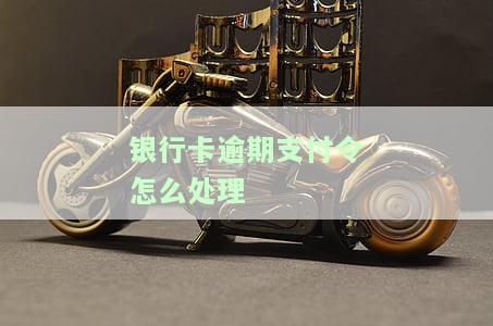 银行卡逾期支付令怎么处理